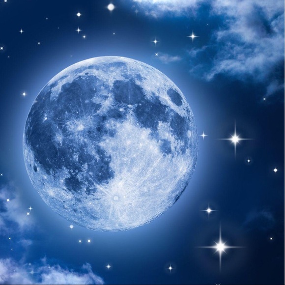 Meet your Posher, Kayla - Picture 1 of 1